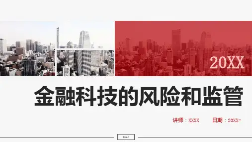 金融科技的风险和监管_实用模板