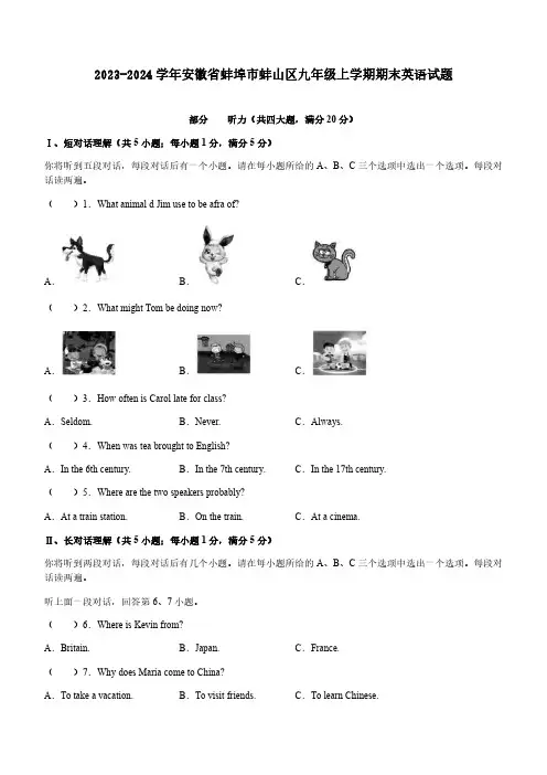 2023-2024学年安徽省蚌埠市蚌山区九年级上学期期末英语试题(含答案)