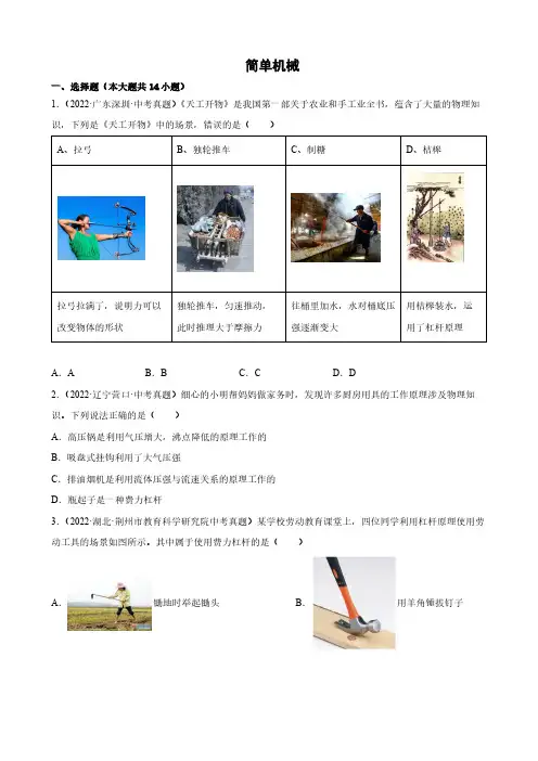 2022年中考物理真题分类汇编之简单机械附真题答案