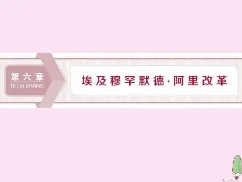 2019_2020学年高中历史第六章埃及穆罕默德·阿里改革第一节穆罕默德阿里改革前的埃及课件北师大版选修1