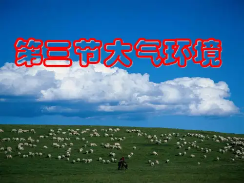 气旋与反气旋(改~)共30页文档