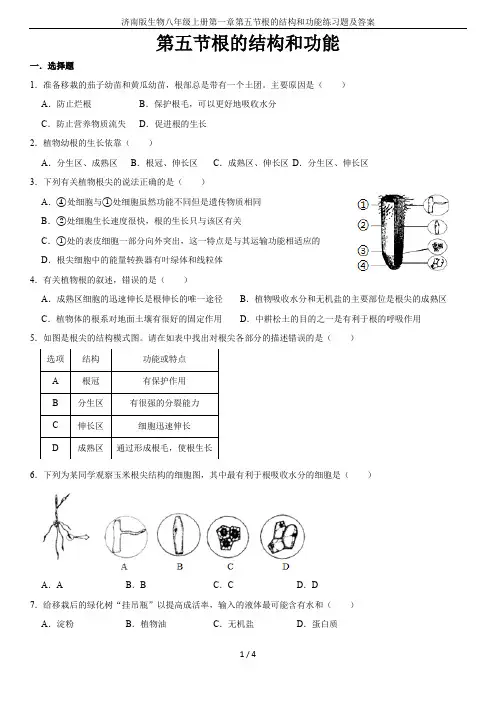 济南版生物八年级上册第一章第五节根的结构和功能练习题及答案