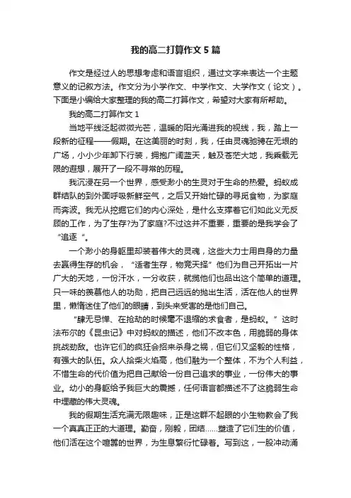 我的高二打算作文5篇