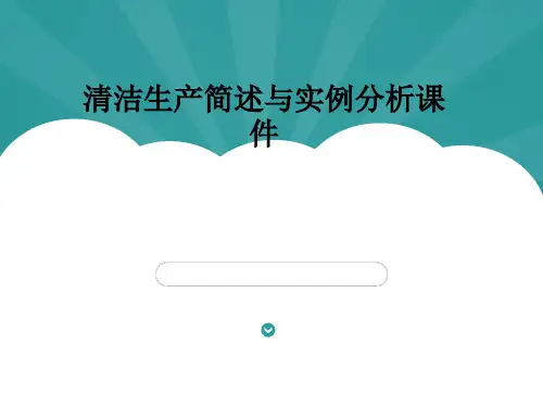 清洁生产简述与实例分析课件