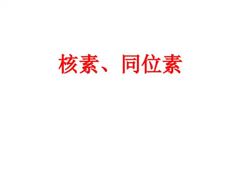 第三课时核素