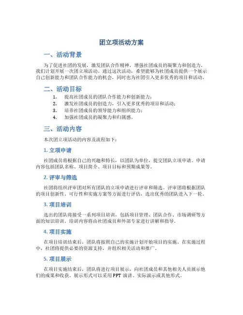 团立项活动方案