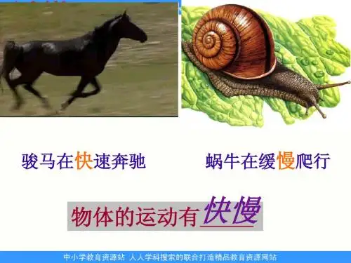 沪科版物理八年级2.3《快与慢》PPT课件1