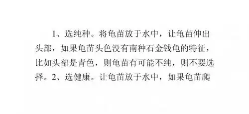 挑选龟苗有妙招