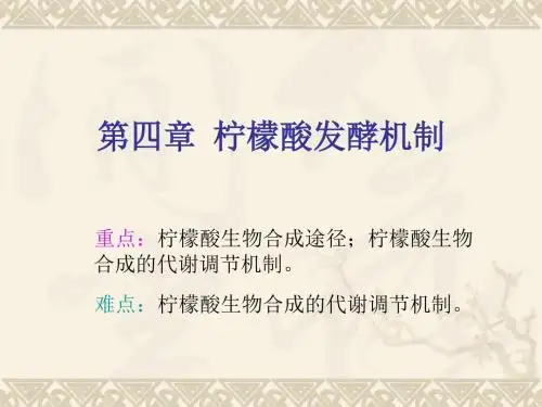 柠檬酸发酵