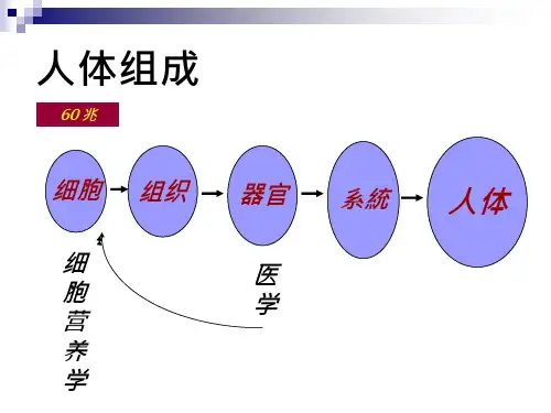 usana产品解析报告