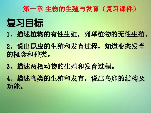 八年级生物下册第七单元第一章生物的生殖和发育复习课件(新版)新人教版