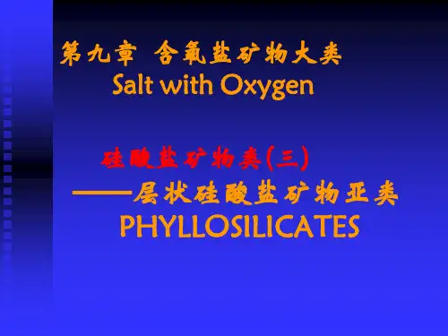 层状硅酸盐