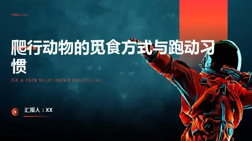 爬行动物的觅食方式与跑动习惯