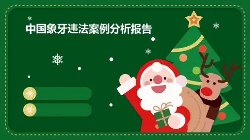 中国象牙违法案例分析报告