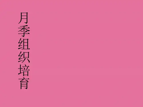 月季组织培养ppt课件