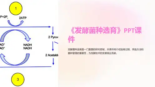 《发酵菌种选育》课件