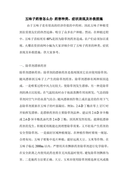 五味子药害怎么办 药害种类、症状表现及补救措施