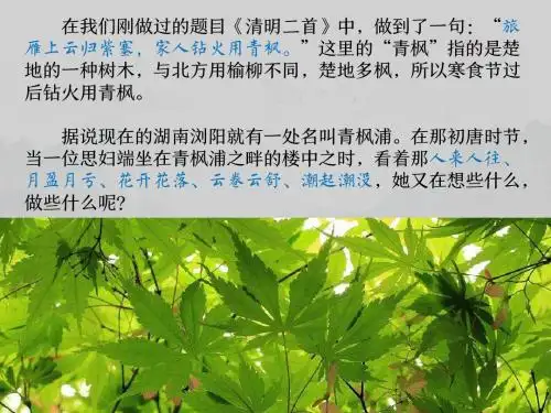《春江花月夜》精品图文教案课件