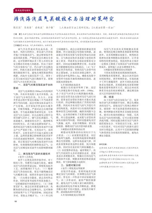 滩浅海浅层气关键技术与治理对策研究