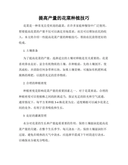 提高产量的花菜种植技巧