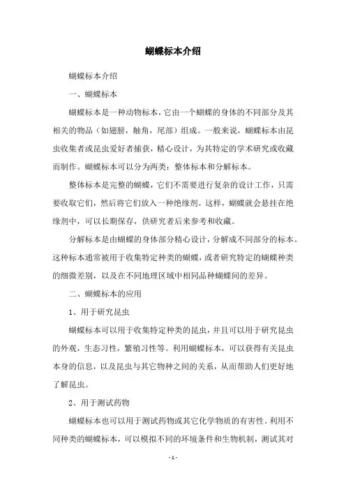 蝴蝶标本介绍