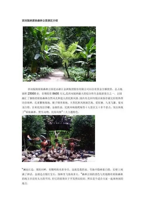 西双版纳原始森林公园景区介绍