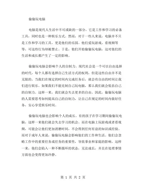 偷偷玩电脑作文范文
