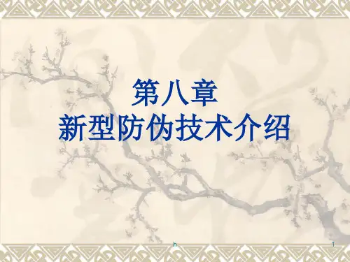 人民币防伪PPT