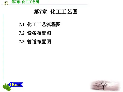 化工制图与CAD课件第7章化工工艺图