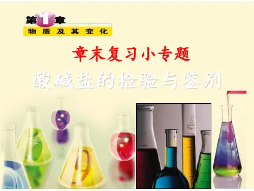 浙教版科学九级(上)第一章小专题酸碱盐的检验鉴别)