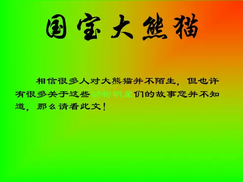 模板国宝大熊猫 文档资料