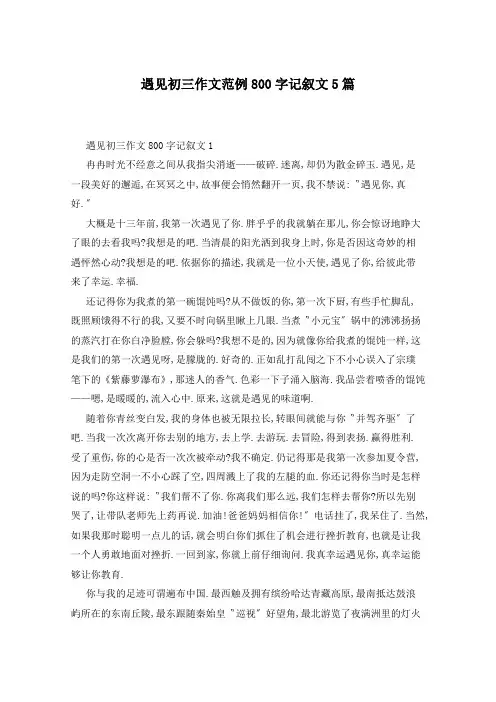 遇见初三作文范例800字记叙文5篇