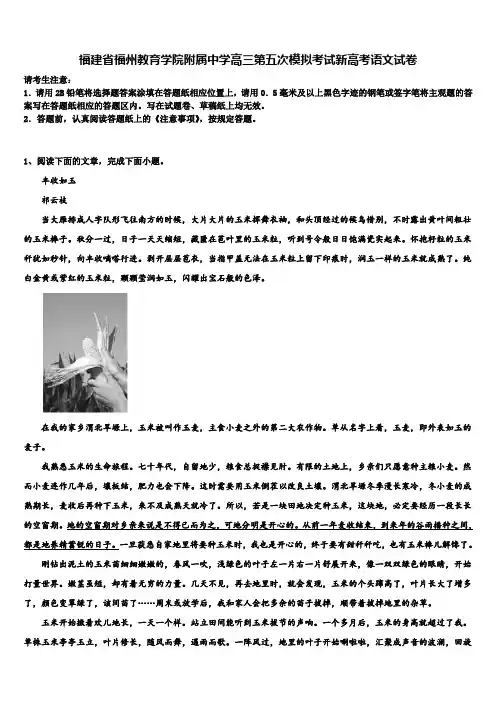 福建省福州教育学院附属中学高三第五次模拟考试新高考语文试卷及答案解析