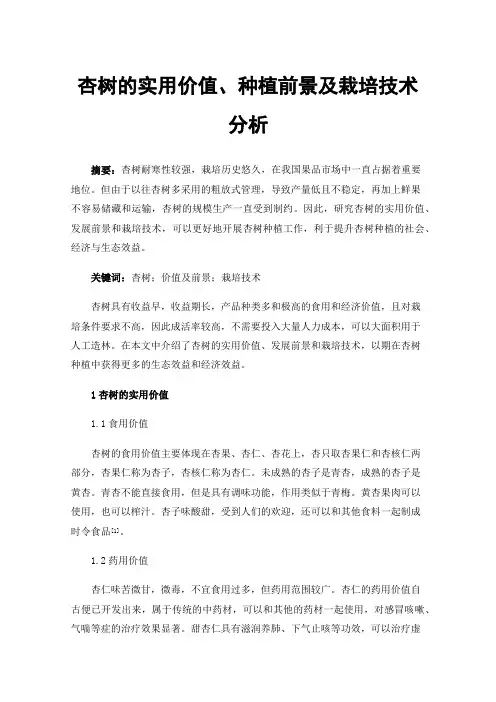 杏树的实用价值、种植前景及栽培技术分析