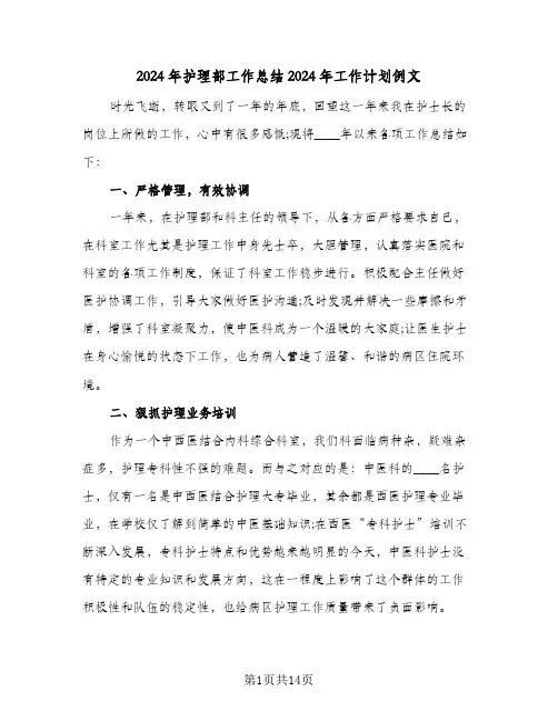2024年护理部工作总结2024年工作计划例文(五篇)
