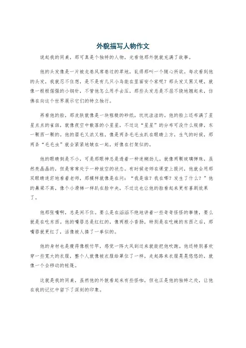 外貌描写人物作文