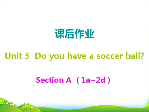 人教版七年级英语上册课后作业课件：Unit5 Do you have a soccer ball