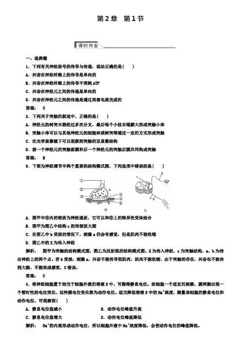 人教版高中生物必修三《通过神经系统的调节》同步练习含答案