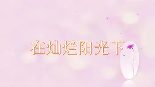《在灿烂阳光下》PPT课件