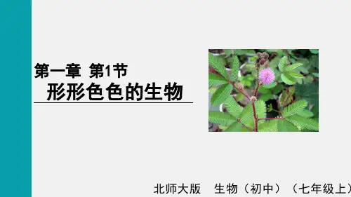 1.1.1形形色色的生物 北师大版(2024)生物七年级上册