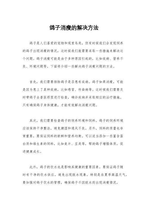 鸽子消瘦的解决方法