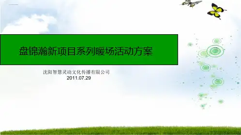 某公司项目系列暖场活动方案(PPT48页)