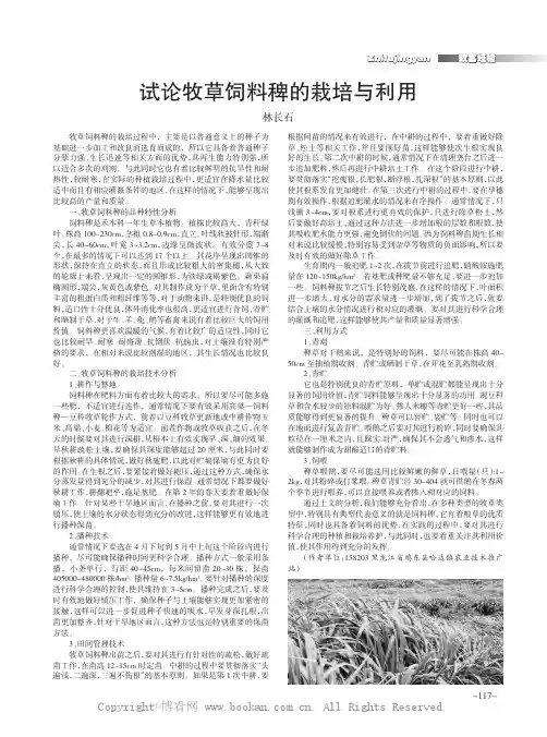 试论牧草饲料稗的栽培与利用