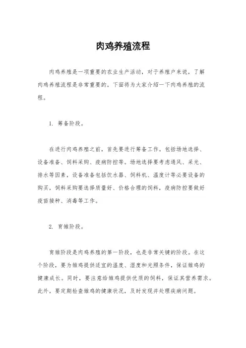 肉鸡养殖流程