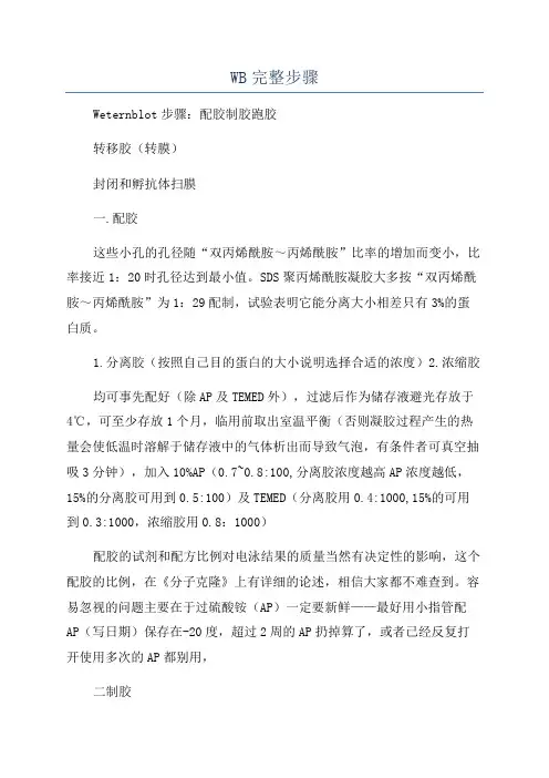 WB完整步骤