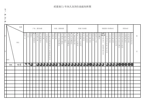 技能矩阵图