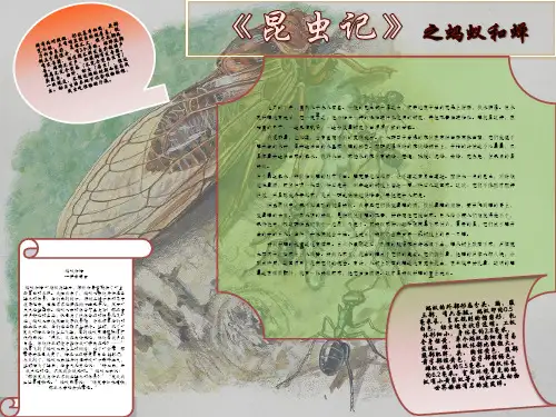 昆虫记之蚂蚁和蝉