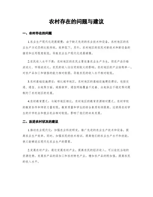 农村存在的问题与建议