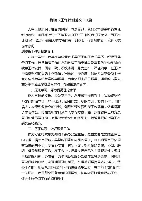 副校长工作计划范文10篇