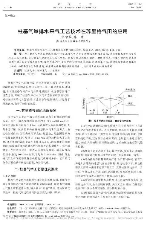 柱塞气举排水采气工艺技术在苏里格气田的应用